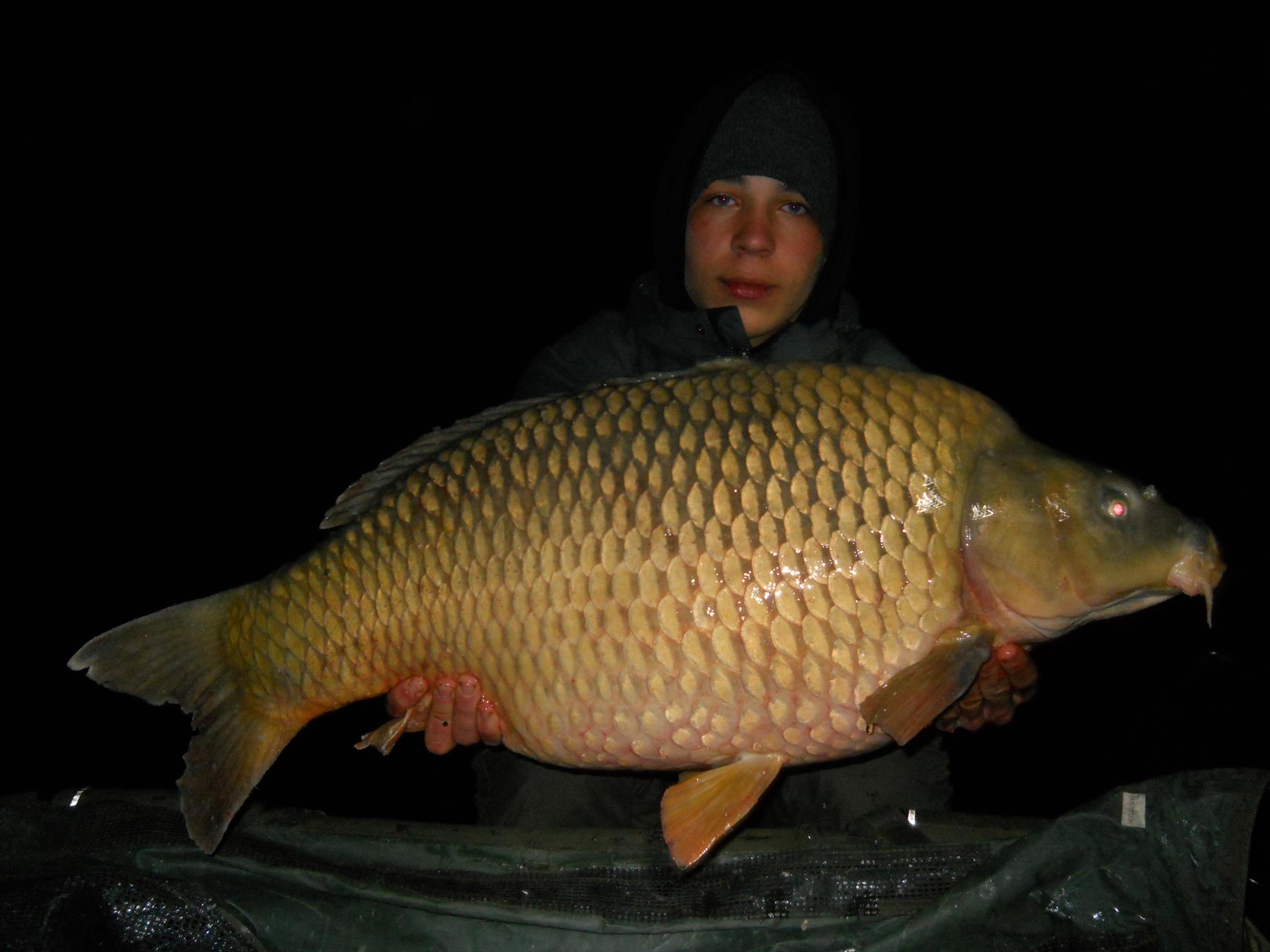 Martie 2013 - Harsany - Martie 2013